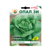Hectarul - Seminte de salata verde Attraction- 2 grame OPAL